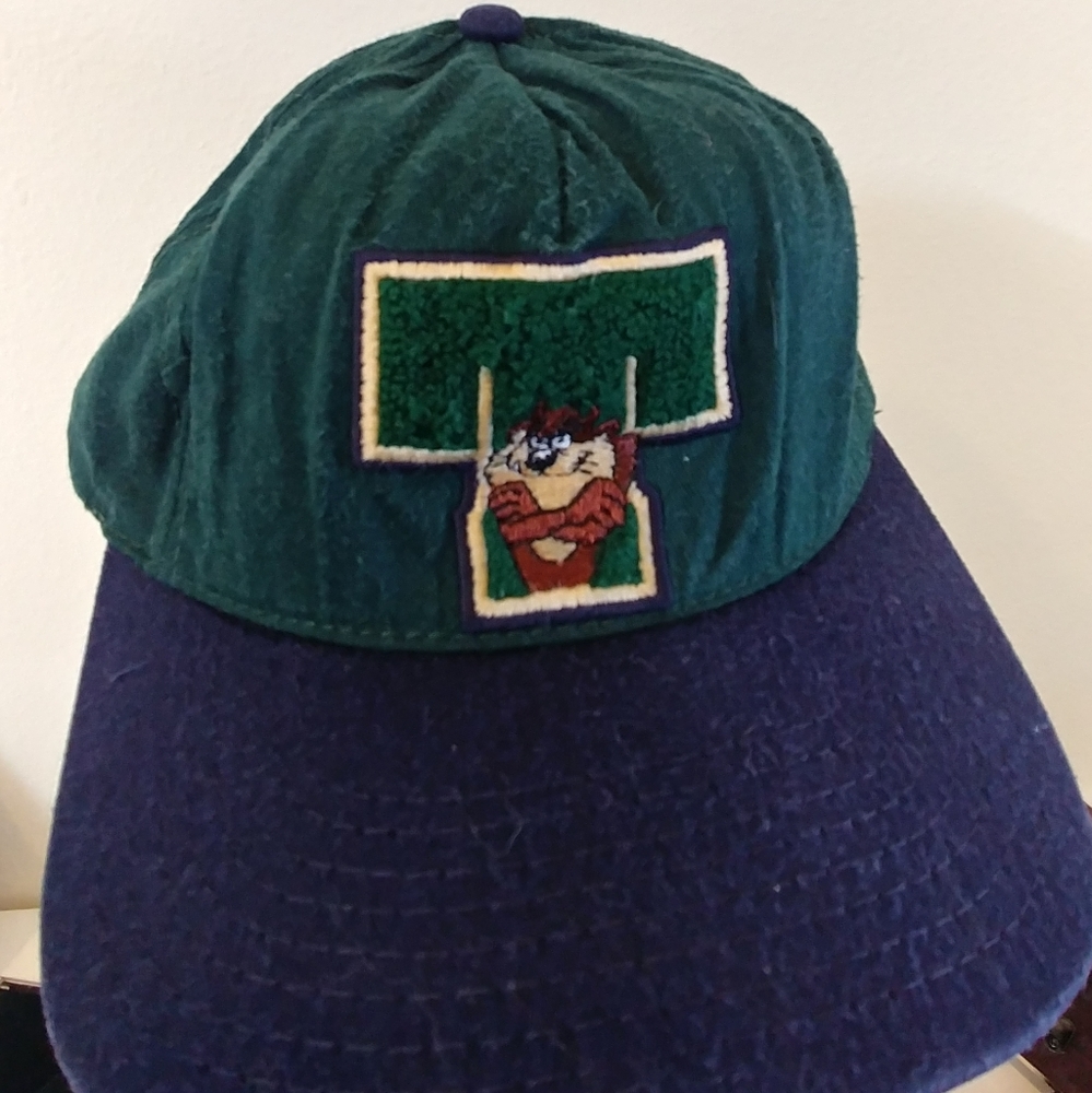 Collector's Item Baseball Cap #warnerbrothers